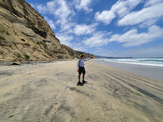 Black's Beach by null