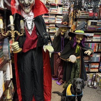 The Book Cellar - Black service dog in a yellow vest with a vampire and 2 witches - Bookstores Near Me - Lincoln, California
