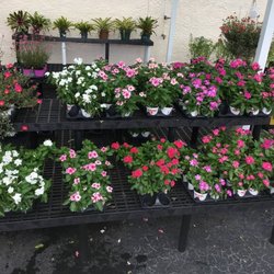 Vision Ace Hardware