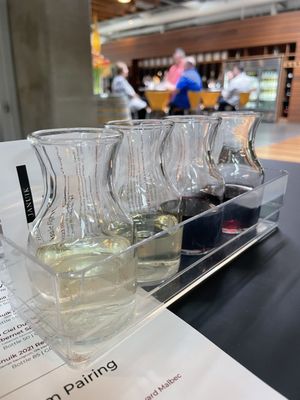 Novelty Hill - Januik Winery by null