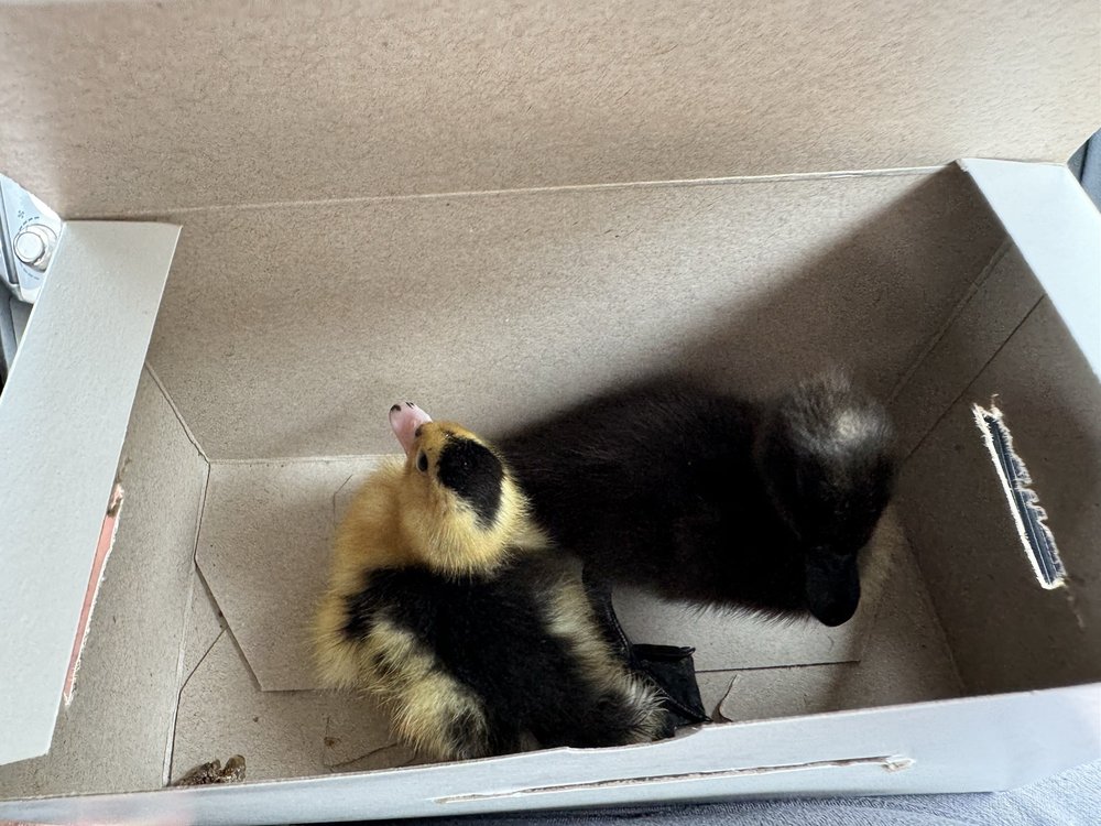 JENSEN DRIVE FEED STORE Updated September 2024 11 Reviews 9740