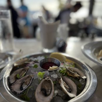 Fleetwood's on Front St - Oysters - 1/2 dozen - New American Near Me - Lahaina, Hawaii Fleetwood's on Front St - Oysters - 1/2 dozen - New American Near Me - Lahaina, Hawaii