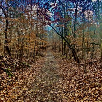 Eno River State Park - Parks Near Me - Durham, North Carolina Eno River State Park - Parks Near Me - Durham, North Carolina