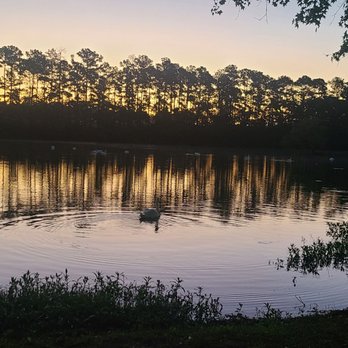 Savannah South KOA - The view was pretty - Campgrounds Near Me - Richmond Hill, Georgia Savannah South KOA - The view was pretty - Campgrounds Near Me - Richmond Hill, Georgia