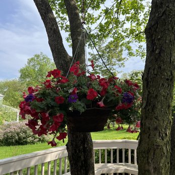 Alsip Home & Nursery - Nurseries & Gardening Near Me - Frankfort, Illinois