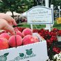 Photo of New Albany Farmers Market