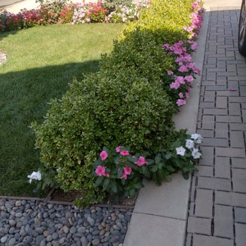 Garcia’s Landscapings - Replanting!! - Landscaping Near Me Garcia’s Landscapings - Replanting!! - Landscaping Near Me