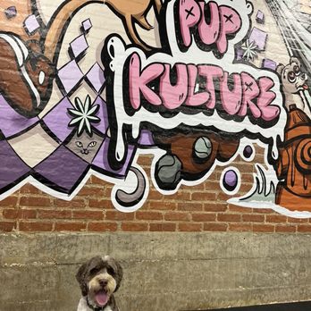Pup Kulture Daycare - Pet Groomers Near Me - Pasadena, California