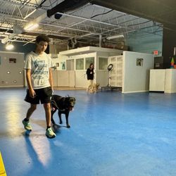 Michigan Dog Training - Private dog training lessons at Michigan Dog Training in Plymouth, Michigan taught by Dog Behaviorist and CEO Michael Burkey.