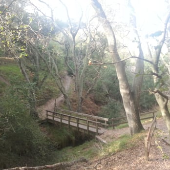 Acalanes Ridge Recreation Area - Beautiful, secluded hiking trail - Parks Near Me - Walnut Creek, California