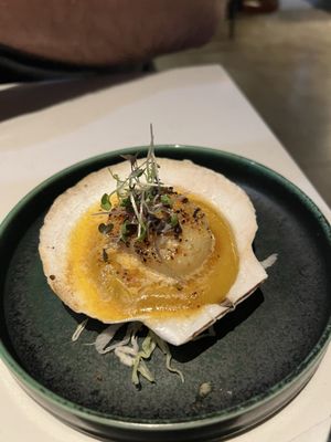 Ukiyo Savannah by null