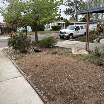 Central City Tree Service - Before & after - Landscaping Near Me - Santa Maria, California Central City Tree Service - Before & after - Landscaping Near Me - Santa Maria, California