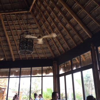 Las Olas - Cocktail Bars Near Me - Playa del Carmen, ROO
