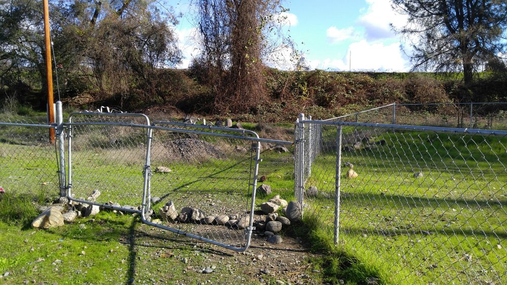 Pat Alley Memorial Dog Park