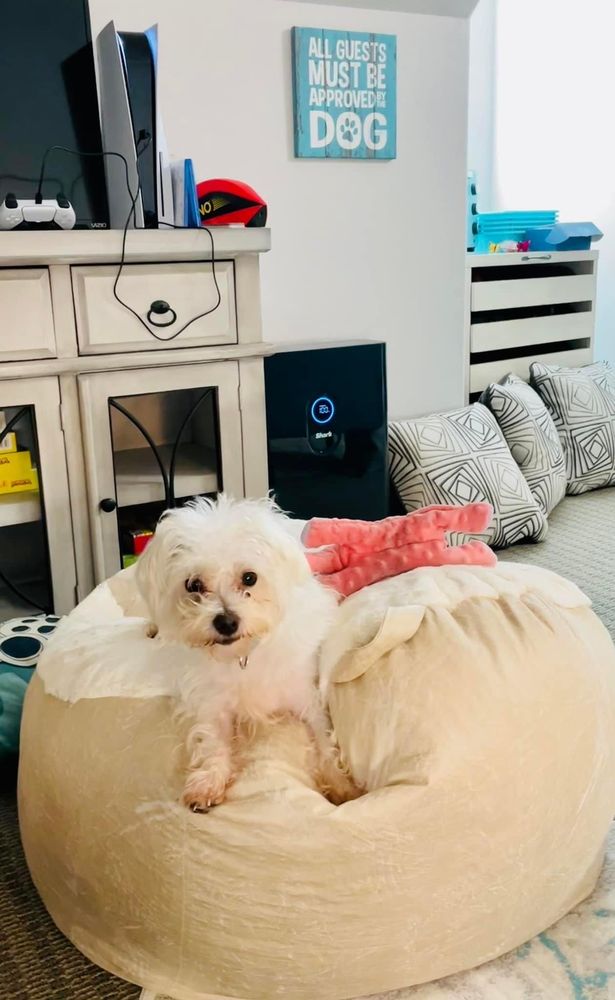 Mariposa Counseling Center - grief counselor in Colleyville, TX