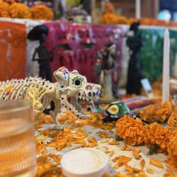 Oakland Bloom - Día de los Muertos ofrenda 2025
