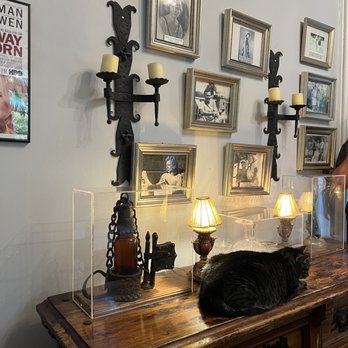 Ernest Hemingway Home  - Museums Near Me - Key West, Florida