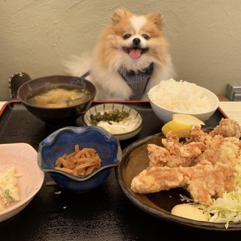 Daigo - Tori Karaage Teishoku | $17 - Sushi Bars Near Me - Palo Alto, California Daigo - Tori Karaage Teishoku | $17 - Sushi Bars Near Me - Palo Alto, California