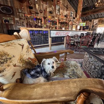 Mean Eyed Cat - Bars Near Me - Driftwood, Texas Mean Eyed Cat - Bars Near Me - Driftwood, Texas
