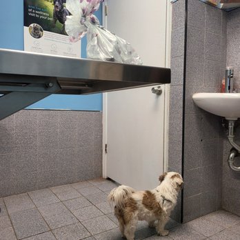 CompleteCare Veterinary Center - Veterinarians Near Me - Staten Island, New York CompleteCare Veterinary Center - Veterinarians Near Me - Staten Island, New York