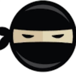 Code ninjas
