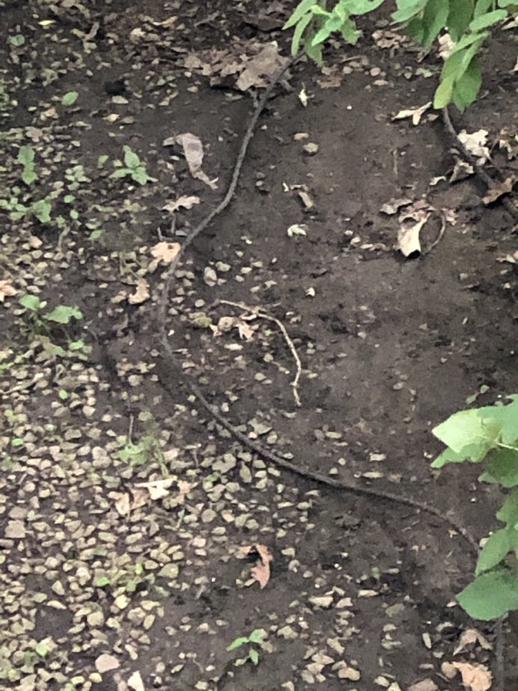 SHADY OAKS 12 Photos Mobile Home Dealers 14 Central Ave, Minooka