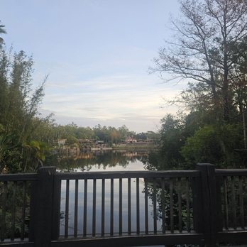Donald's Dino-Bash - Amusement Parks Near Me Donald's Dino-Bash - Amusement Parks Near Me