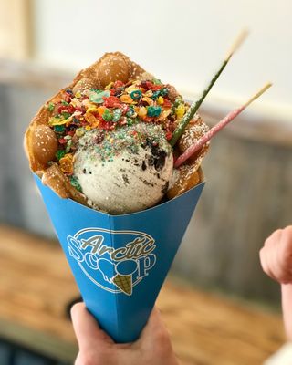 Arctic Scoop by null