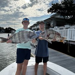 Long Bay Pointe Bait and Tackle - Sheepshead citations from the long bay pointe bait and tackle dock