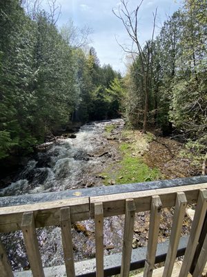 Belfountain Conservation Area by null