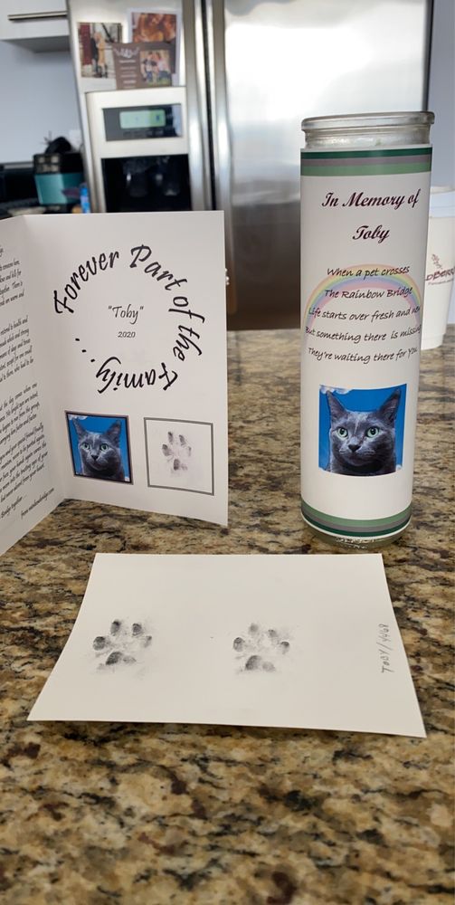 QUAD CITIES PET CREMATION Updated May 2024 3204 Bear Tooth Ct