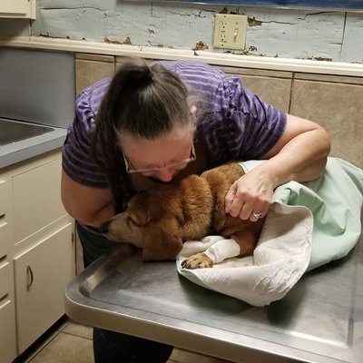 stagecoach veterinary clinic