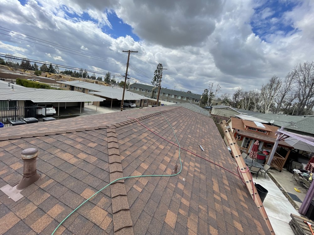 Slide of A J M D Mendoza