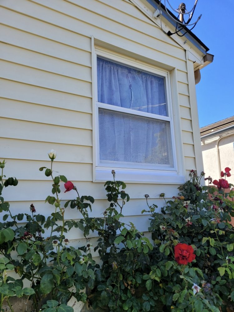 Slide of Gomez Painting