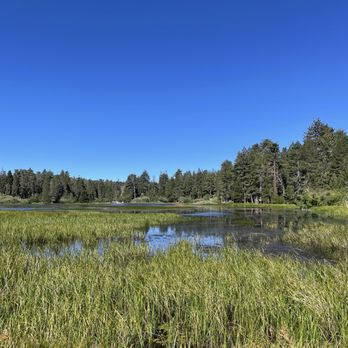 Bluff Lake Reserve - Parks Near Me - Angelus Oaks, California