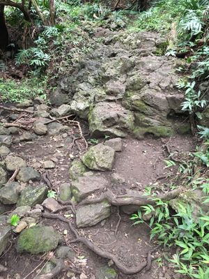 Kuli'ou'ou Valley Trail by null