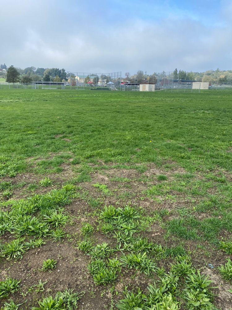 SILVERADO MIDDLE SCHOOL Updated September 2024 1133 Coombsville Rd