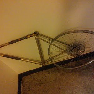 Photo of BPA Seattle Bikes + Art - Seattle, WA, United States. Old and Busted (from the website)