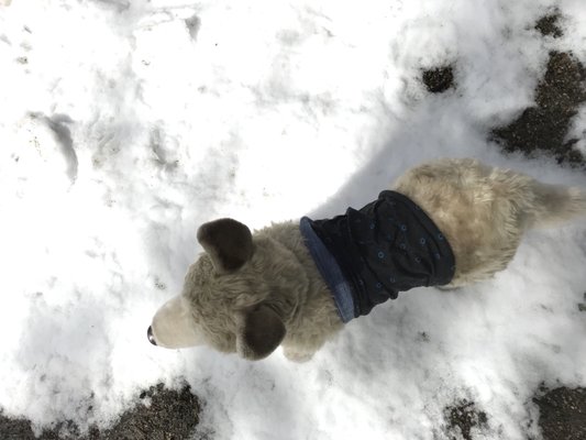 Kings Canyon Visitor Center by null