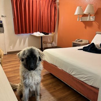 Motel 6 - Hotels Near Me - Weed, California Motel 6 - Hotels Near Me - Weed, California