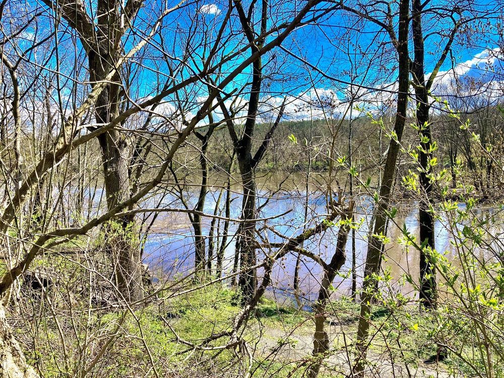 Betzwood Park Image