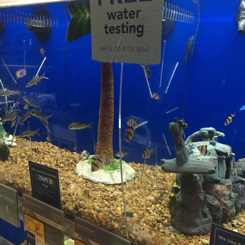 PetSmart - Pet Stores Near Me - Tucson, Arizona