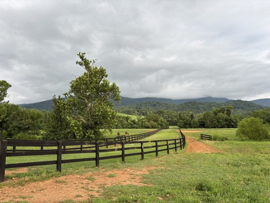 King Family Vineyards by null