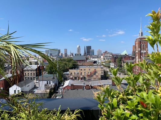 Bar Genevieve by null