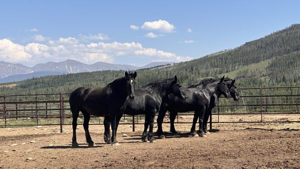 YMCA of the Rockies - Snow Mountain Ranch Family Resort and Cabins by null