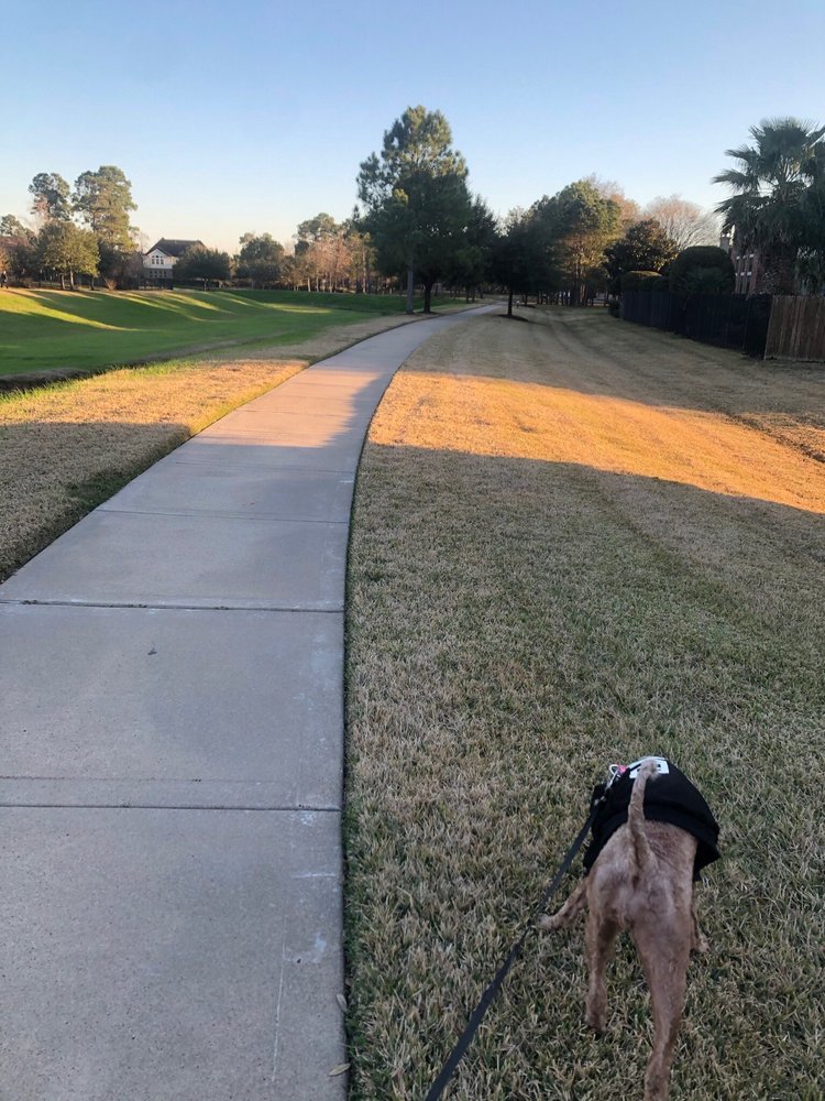 THE POINTE AT WEST LAKE 33 Photos 16755 W Lake Houston Pkwy, Houston, TX Yelp