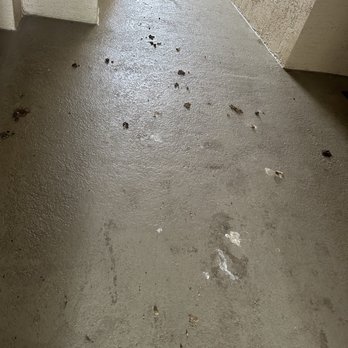 Polo Glen - Pooped walkways - Apartments Near Me - Plantation, Florida