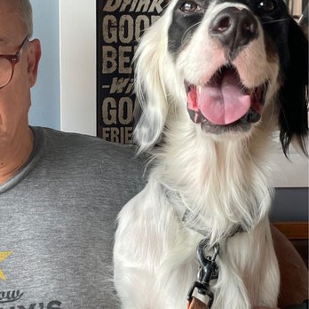 Toll Road Brewing Company - pup friendly and tastebud approved. - Breweries Near Me - Ocoee, Florida Toll Road Brewing Company - pup friendly and tastebud approved. - Breweries Near Me - Ocoee, Florida