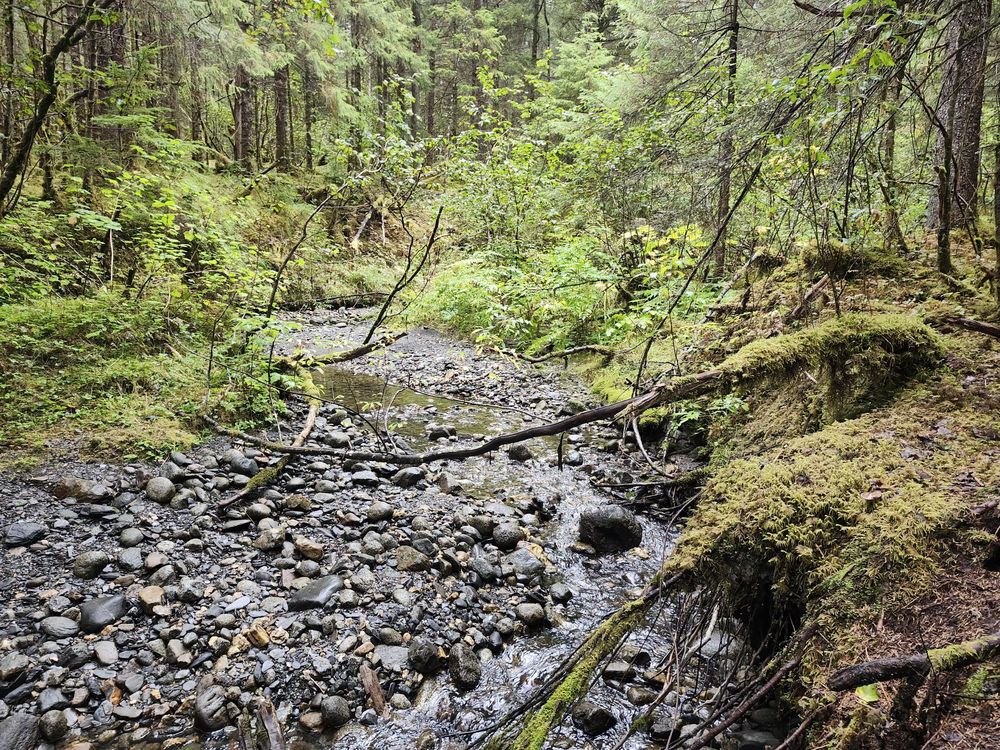 West Glacier Trail - Mendenhall Glacier