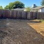 Photo of Royal Demolition